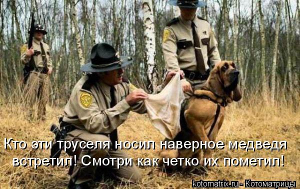 Котоматрица: Кто эти труселя носил наверное медведя встретил! Смотри как четко их пометил!