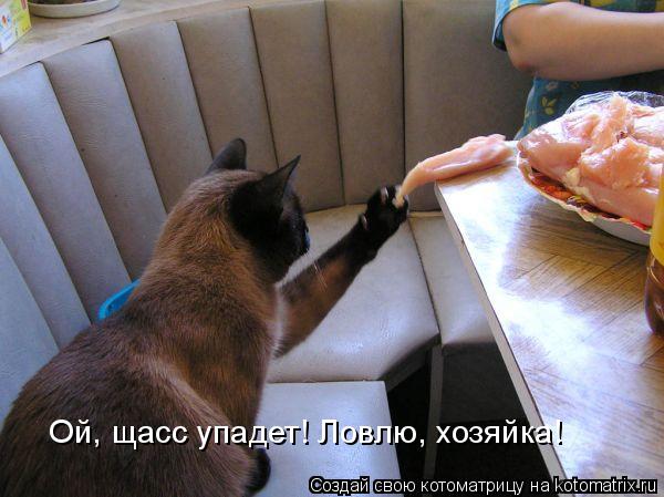 Котоматрица: Ой, щасс упадет! Ловлю, хозяйка!