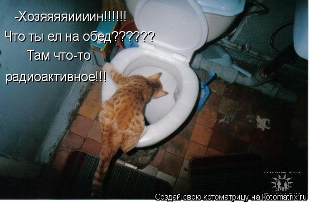 -Хозяяяяиииин!!!!!! Что ты ел на обед?????? Там что-то радиоактивное!!!... Котоматрица: -Хозяяяяиииин!!!!!! Что ты ел на обед?????? Там что-то радиоактивное!!!