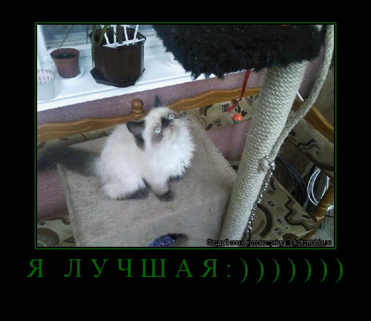 Котоматрица: Я лучшая:))))))) 