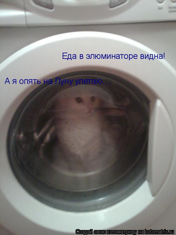Еда в элюминаторе видна! А я опять на Луну улетаю....... Котоматрица: Еда в элюминаторе видна! А я опять на Луну улетаю....