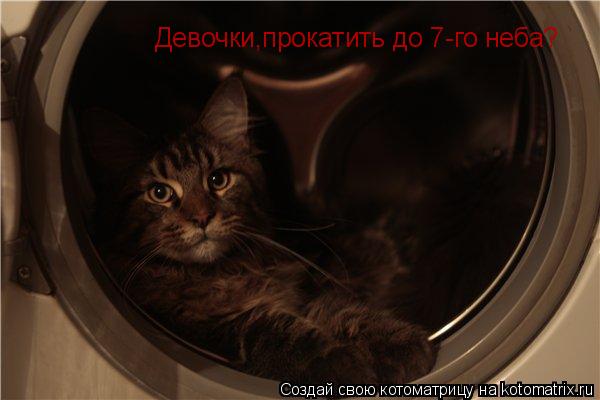 Девочки,прокатить до 7-го неба?... Котоматрица: Девочки,прокатить до 7-го неба?