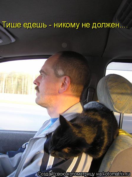 Тише едешь- Тише едешь - никому не должен....... Котоматрица: Тише едешь- Тише едешь - никому не должен....