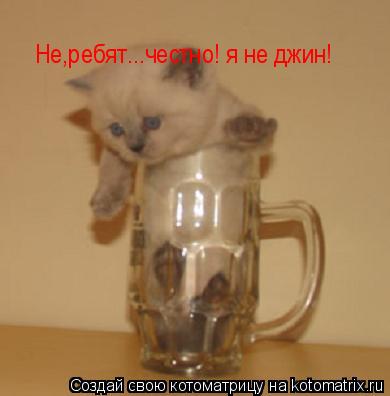 Не,ребят...честно! я не джин!... Котоматрица: Не,ребят...честно! я не джин!