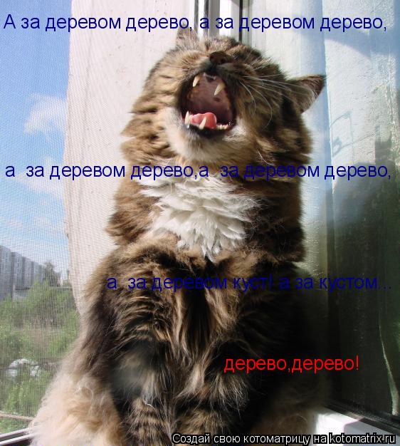 А за деревом дерево, а за деревом дерево, а за деревом дерево,а за деревом дерево, а за деревом ку... Котоматрица: А за деревом дерево, а за деревом дерево, а за деревом дерево,а за деревом дерево, а за деревом куст! а за кустом... дерево,дерево!