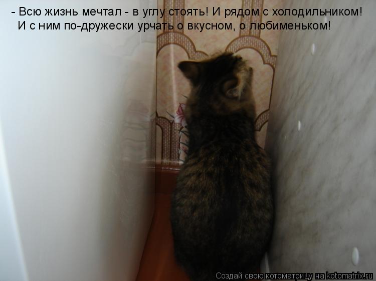 - Всю жизнь мечтал - в углу стоять! И рядом с холодильником! И с ним по-дружески урчать о вкусном, о ... Котоматрица: - Всю жизнь мечтал - в углу стоять! И рядом с холодильником! И с ним по-дружески урчать о вкусном, о любименьком!