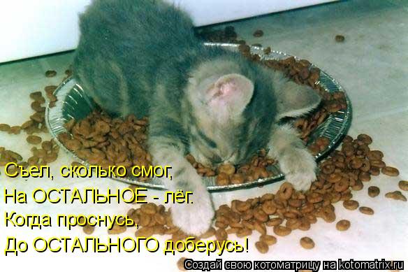 Съел, сколько смог, На ОСТАЛЬНОЕ - лёг. Когда проснусь, До ОСТАЛЬНОГО доберусь!... Котоматрица: Съел, сколько смог, На ОСТАЛЬНОЕ - лёг. Когда проснусь, До ОСТАЛЬНОГО доберусь!