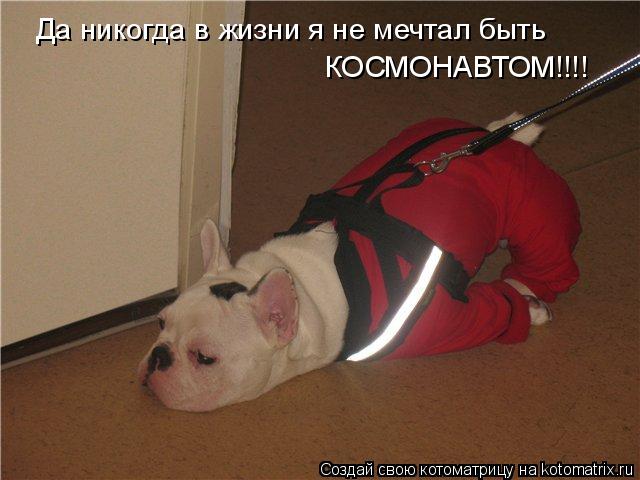 Котоматрица: Да никогда в жизни я не мечтал быть КОСМОНАВТОМ!!!!