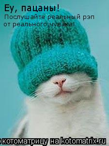 Еу, пацаны! Послушайте реальный рэп от реального чувака!... Котоматрица: Еу, пацаны! Послушайте реальный рэп от реального чувака!
