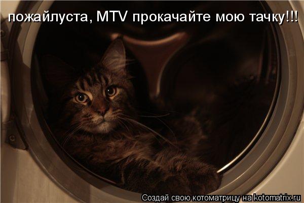 Котоматрица: пожайлуста, MTV прокачайте мою тачку!!!