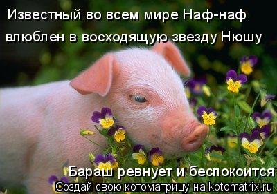 Известный во всем мире Наф-наф влюблен в восходящую звезду Нюшу Бараш ревнует и беспокоится... Котоматрица: Известный во всем мире Наф-наф влюблен в восходящую звезду Нюшу Бараш ревнует и беспокоится