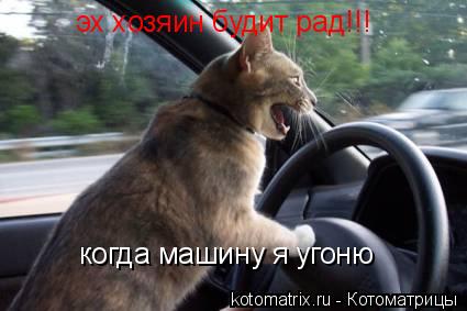 эх хозяин будит рад!!! когда машину я угоню... Котоматрица: эх хозяин будит рад!!! когда машину я угоню