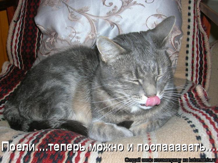 Поели....теперь можно и поспааааать....... Поели....теперь можно и поспааааать.......... Котоматрица: Поели....теперь можно и поспааааать....... Поели....теперь можно и поспааааать.......