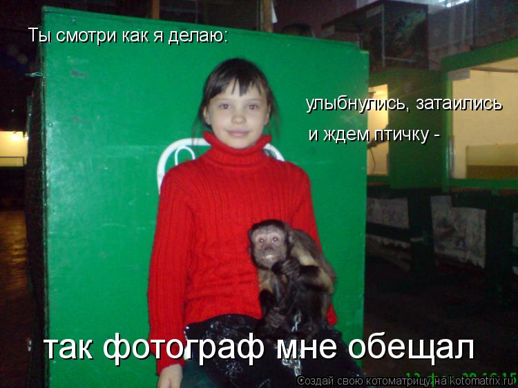 улыбнулись, затаились и ждем птичку - так фотограф мне обещал Ты смотри как я делаю:... Котоматрица: улыбнулись, затаились и ждем птичку - так фотограф мне обещал Ты смотри как я делаю: