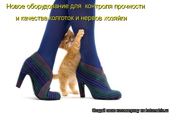 Новое оборудование для контроля прочности и качества колготок и нервов хозяйки... Котоматрица: Новое оборудование для контроля прочности и качества колготок и нервов хозяйки