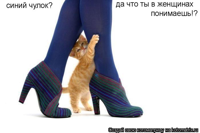 синий чулок? да что ты в женщинах понимаешь!?... Котоматрица: синий чулок? да что ты в женщинах понимаешь!?