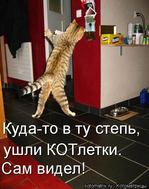 Котоматрица: Куда-то в ту степь, ушли КОТлетки. Сам видел!