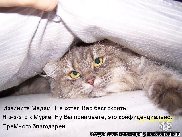 Извините Мадам! Не хотел Вас беспокоить. Я э-э-это к Мурке. Ну Вы понимаете, это конфиденциально. Пре... Котоматрица: Извините Мадам! Не хотел Вас беспокоить. Я э-э-это к Мурке. Ну Вы понимаете, это конфиденциально. ПреМного благодарен.