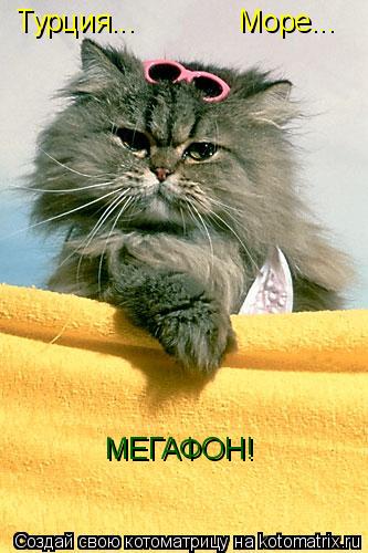 Турция... Море... МЕГАФОН!... Котоматрица: Турция... Море... МЕГАФОН!