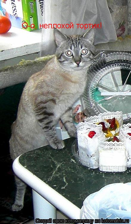 Котоматрица: О-о, неплохой тортик!