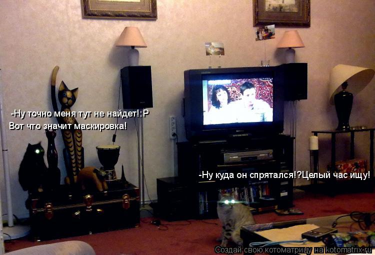 Котоматрица: -Ну точно меня тут не найдет!:Р Вот что значит маскировка! -Ну куда он спрятался!?Целый час ищу!
