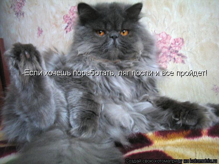 Котоматрица: -Если хочешь поработать, ляг поспи и все пройдет!