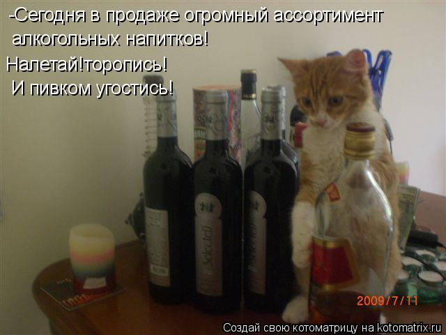 Котоматрица: -Сегодня в продаже огромный ассортимент алкогольных напитков! Налетай!торопись! И пивком угостись!