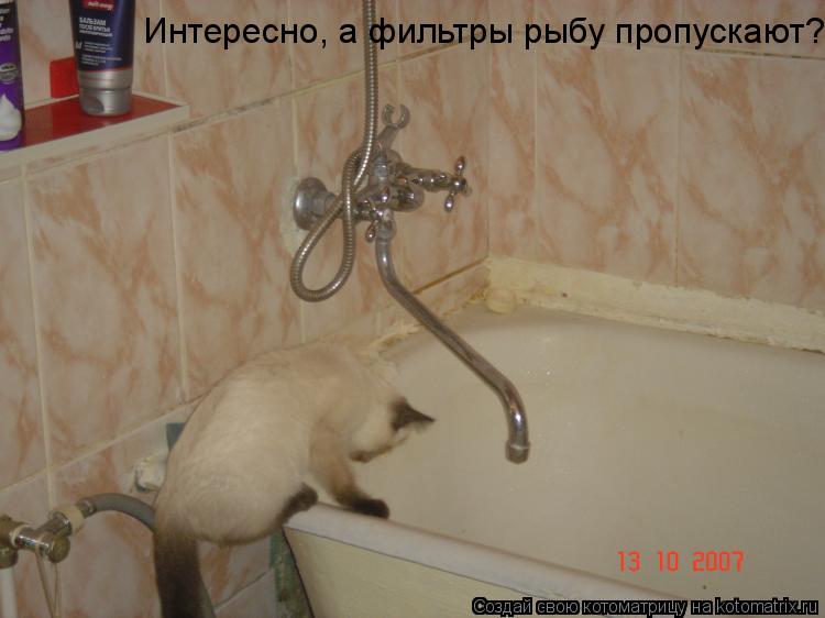 Котоматрица: Интересно, а фильтры рыбу пропускают?