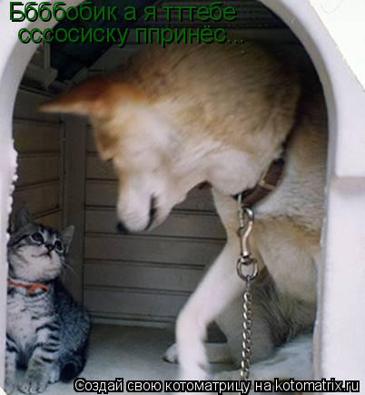 Котоматрица: Ббббобик а я тттебе  сссосиску ппринёс...