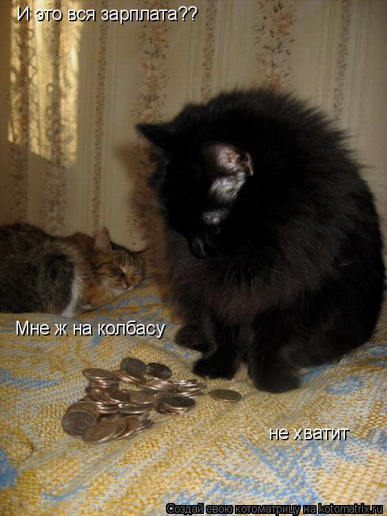 Котоматрица: И это вся зарплата?? Мне ж на колбасу не хватит не хватит