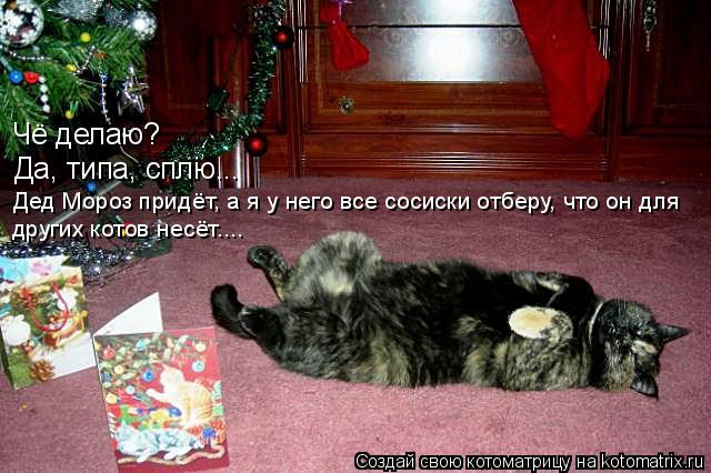 Котоматрица: Чё делаю? Да, типа, сплю... Дед Мороз придёт, а я у него все сосиски отберу, что он для других котов несёт....