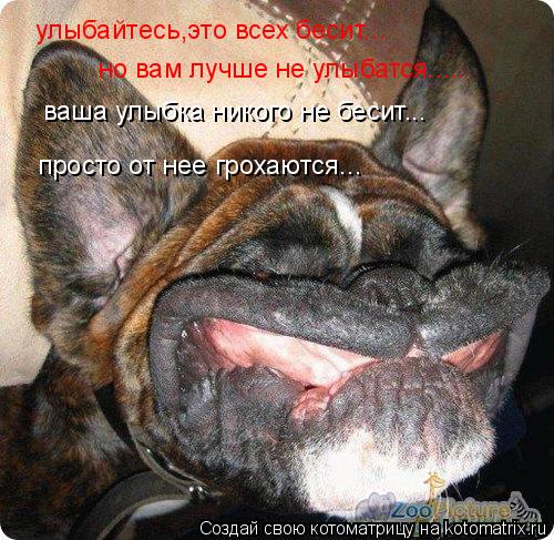 улыбайтесь,это всех бесит... но вам лучше не улыбатся..... ваша улыбка никого не бесит... просто от н... Котоматрица: улыбайтесь,это всех бесит... но вам лучше не улыбатся..... ваша улыбка никого не бесит... просто от нее грохаются...