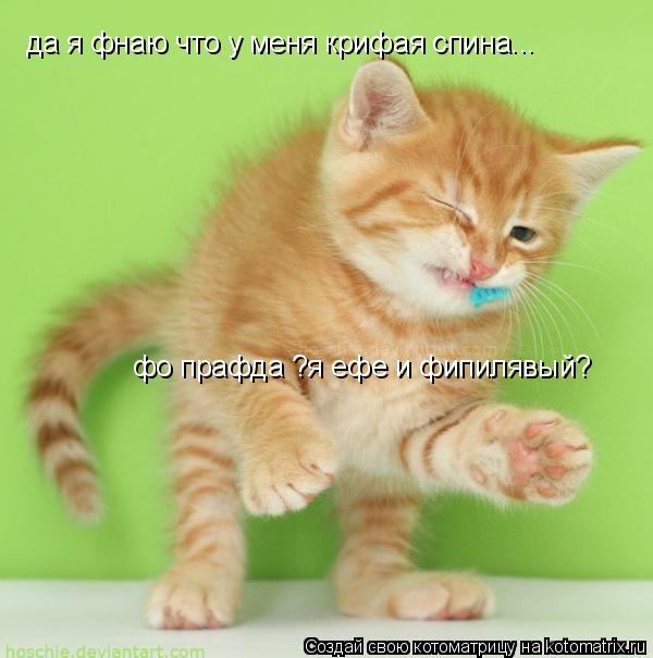 да я фнаю что у меня крифая спина... фо прафда ?я ефе и фипилявый?... Котоматрица: да я фнаю что у меня крифая спина... фо прафда ?я ефе и фипилявый?