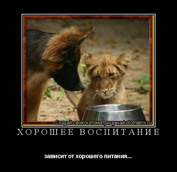 ХОРОШЕЕ ВОСПИТАНИЕ зависит от хорошего питания...... Котоматрица: ХОРОШЕЕ ВОСПИТАНИЕ зависит от хорошего питания...
