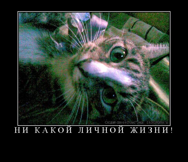 Ни какой личной жизни! ... Котоматрица: Ни какой личной жизни!