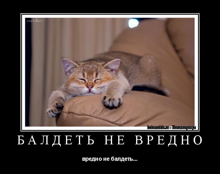 БАЛДЕТЬ НЕ ВРЕДНО вредно не балдеть...... Котоматрица: БАЛДЕТЬ НЕ ВРЕДНО вредно не балдеть...