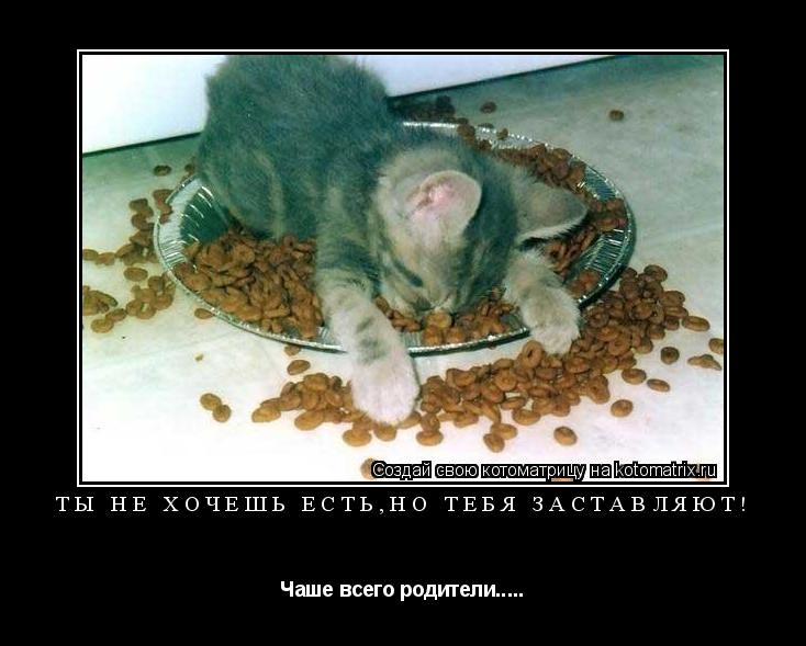 Котоматрица: Ты не хочешь есть,но тебя заставляют! Чаше всего родители.....