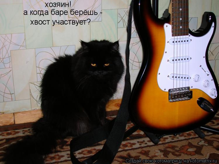Котоматрица: хозяин! а когда баре берёшь - хвост участвует?