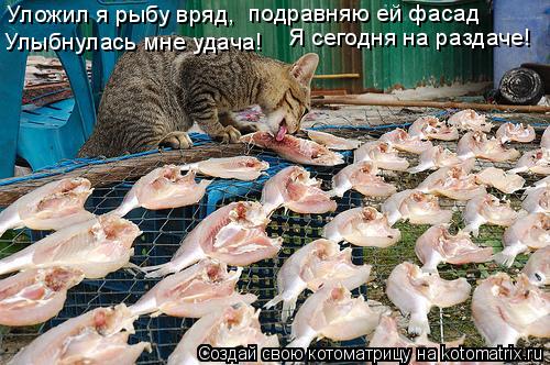Уложил я рыбу вряд, подравняю ей фасад Улыбнулась мне удача! Я сегодня на раздаче!... Котоматрица: Уложил я рыбу вряд, подравняю ей фасад Улыбнулась мне удача! Я сегодня на раздаче!