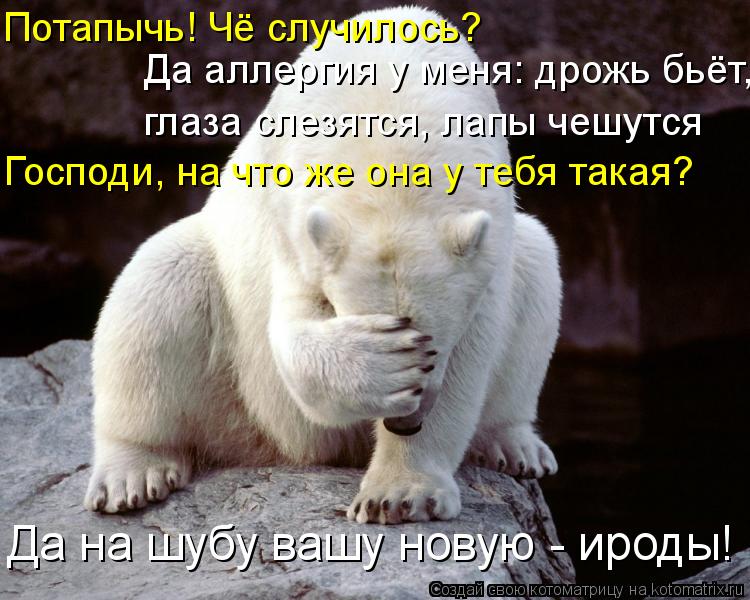 Потапычь! Чё случилось? Да аллергия у меня: дрожь бьёт, Господи, на что же она у тебя такая? глаза ... Котоматрица: Потапычь! Чё случилось? Да аллергия у меня: дрожь бьёт, Господи, на что же она у тебя такая? глаза слезятся, лапы чешутся Да на шубу вашу нову