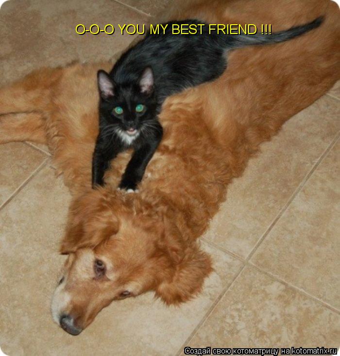 O-O-O YOU MY BEST FRIEND !!!... Котоматрица: O-O-O YOU MY BEST FRIEND !!!