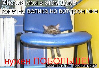 Котоматрица: Миссия моя в этом доме  конечно велика,но вот трон мне нужен ПОБОЛЬШЕ!