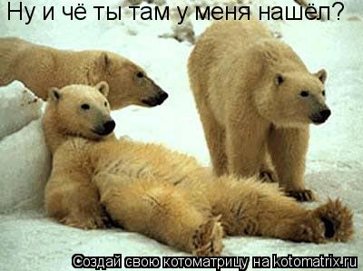 Котоматрица: Ну и чё ты там у меня нашёл?