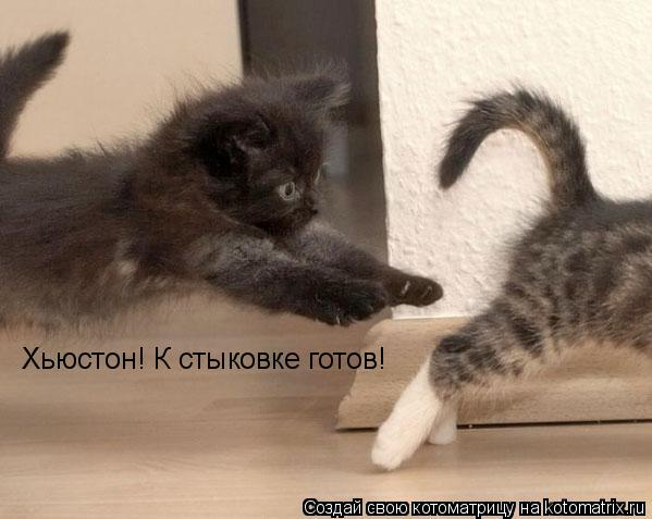Хьюстон! К стыковке готов!... Котоматрица: Хьюстон! К стыковке готов!