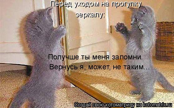 Получше ты меня запомни. Вернусь я, может, не таким... зеркалу: Перед уходом на прогулку... Котоматрица: Получше ты меня запомни. Вернусь я, может, не таким... зеркалу: Перед уходом на прогулку