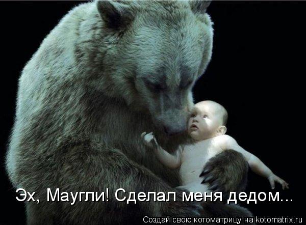 Эх, Маугли! Сделал меня дедом...... Котоматрица: Эх, Маугли! Сделал меня дедом...