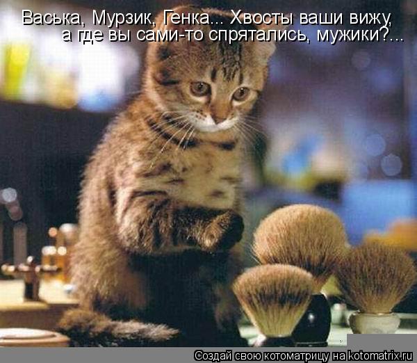 Котоматрица: Васька, Мурзик, Генка... Хвосты ваши вижу,  а где вы сами-то спрятались, мужики?...