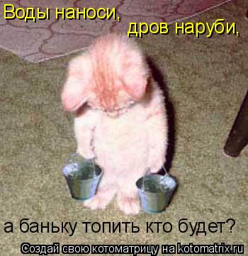 Воды наноси, дров наруби, а баньку топить кто будет?... Котоматрица: Воды наноси, дров наруби, а баньку топить кто будет?