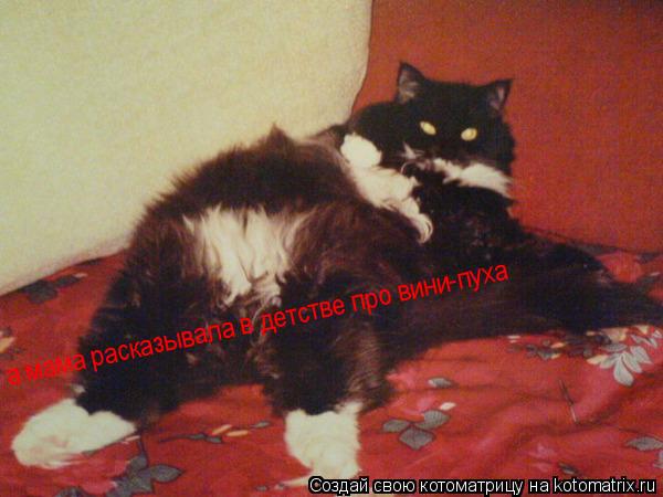 а мама расказывала в детстве про вини-пуха... Котоматрица: а мама расказывала в детстве про вини-пуха