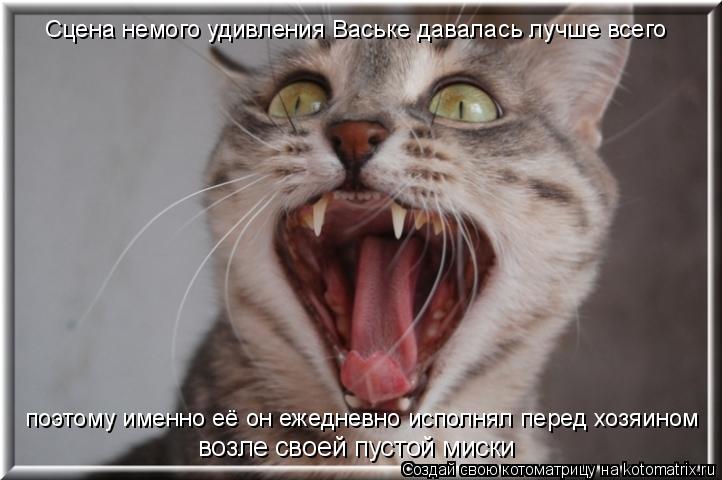 Сцена немого удивления Ваське давалась лучше всего поэтому именно её он ежедневно исполнял перед хозя... Котоматрица: Сцена немого удивления Ваське давалась лучше всего поэтому именно её он ежедневно исполнял перед хозяином возле своей пустой миски